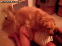 Dog fucking a beautiful chick in animal sex fun